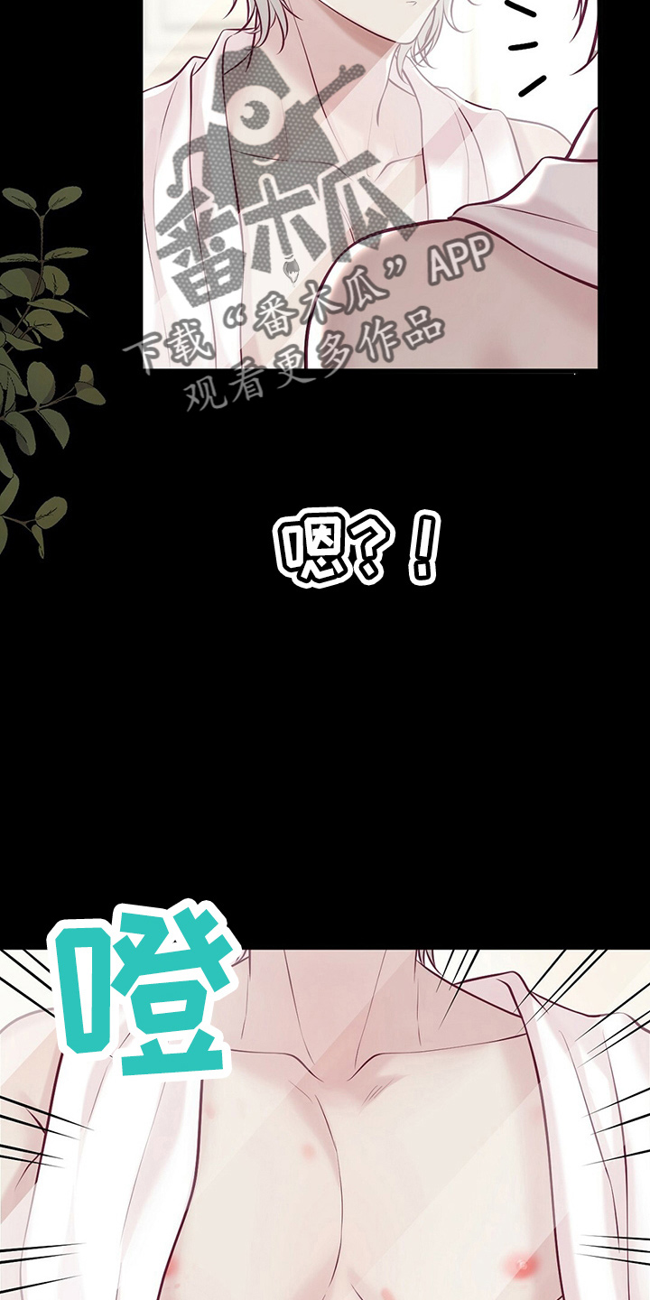 《爱豆新星》第43章对不起 第18页