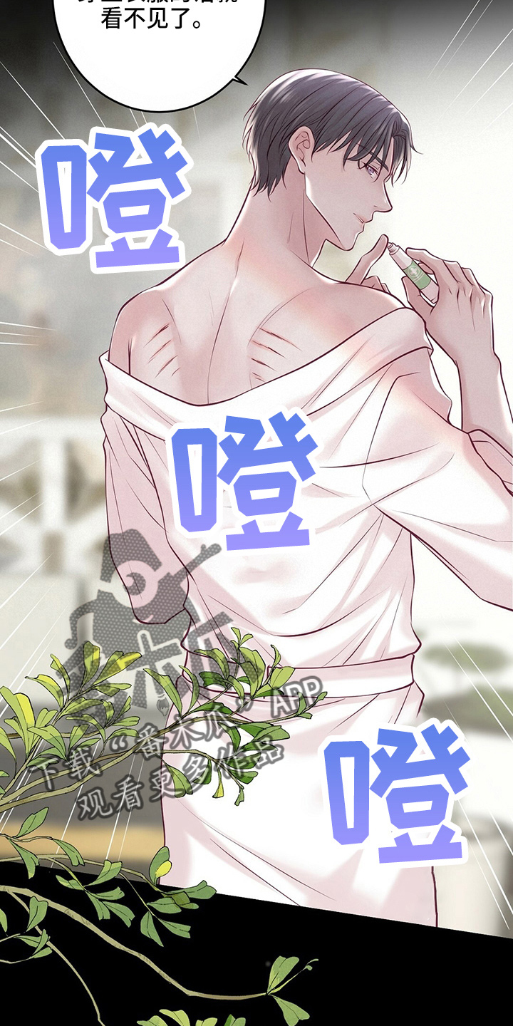 《爱豆新星》第43章对不起 第21页