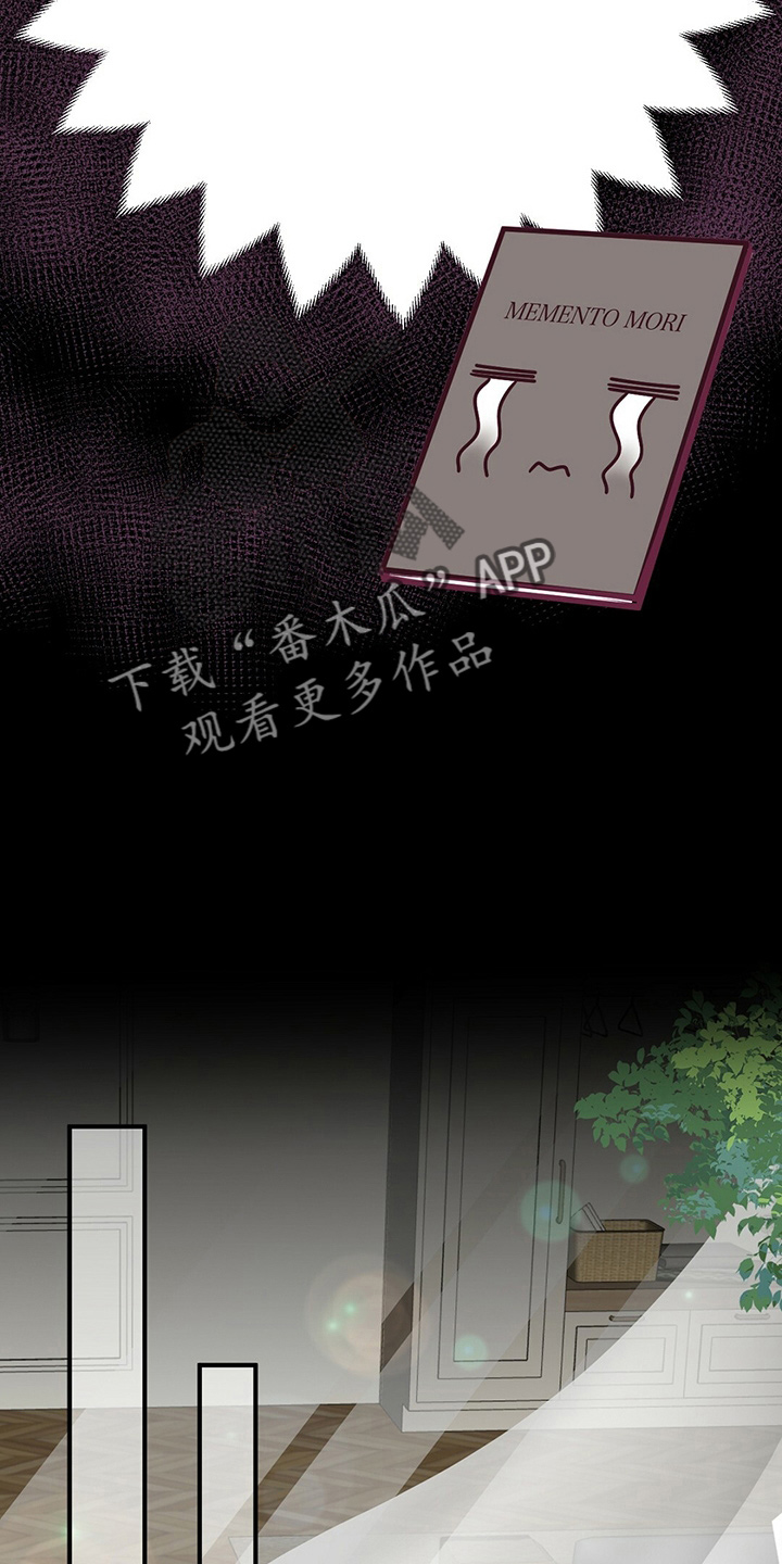 《爱豆新星》第43章对不起 第7页