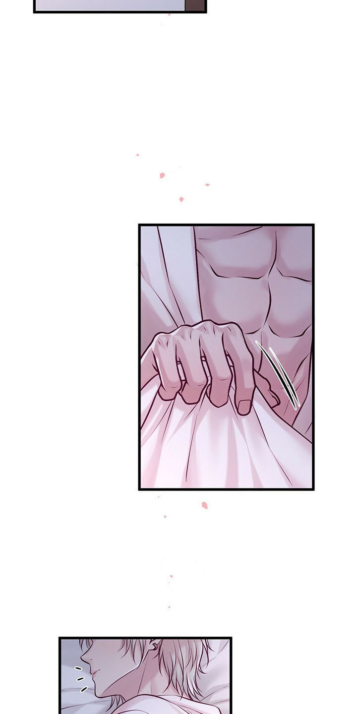 《爱豆新星》第47章睡觉吧 第11页