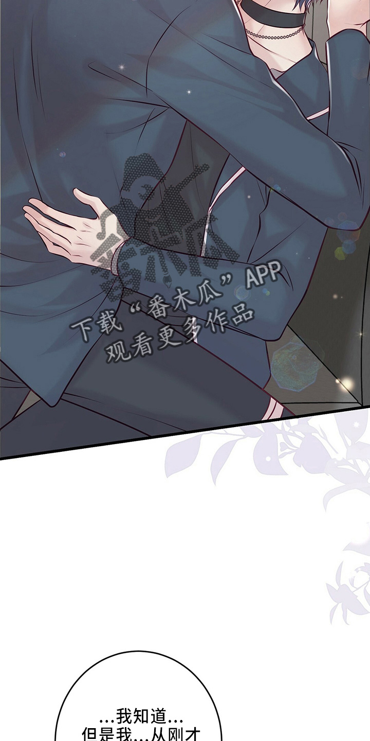 《爱豆新星》第46章被发现 第13页