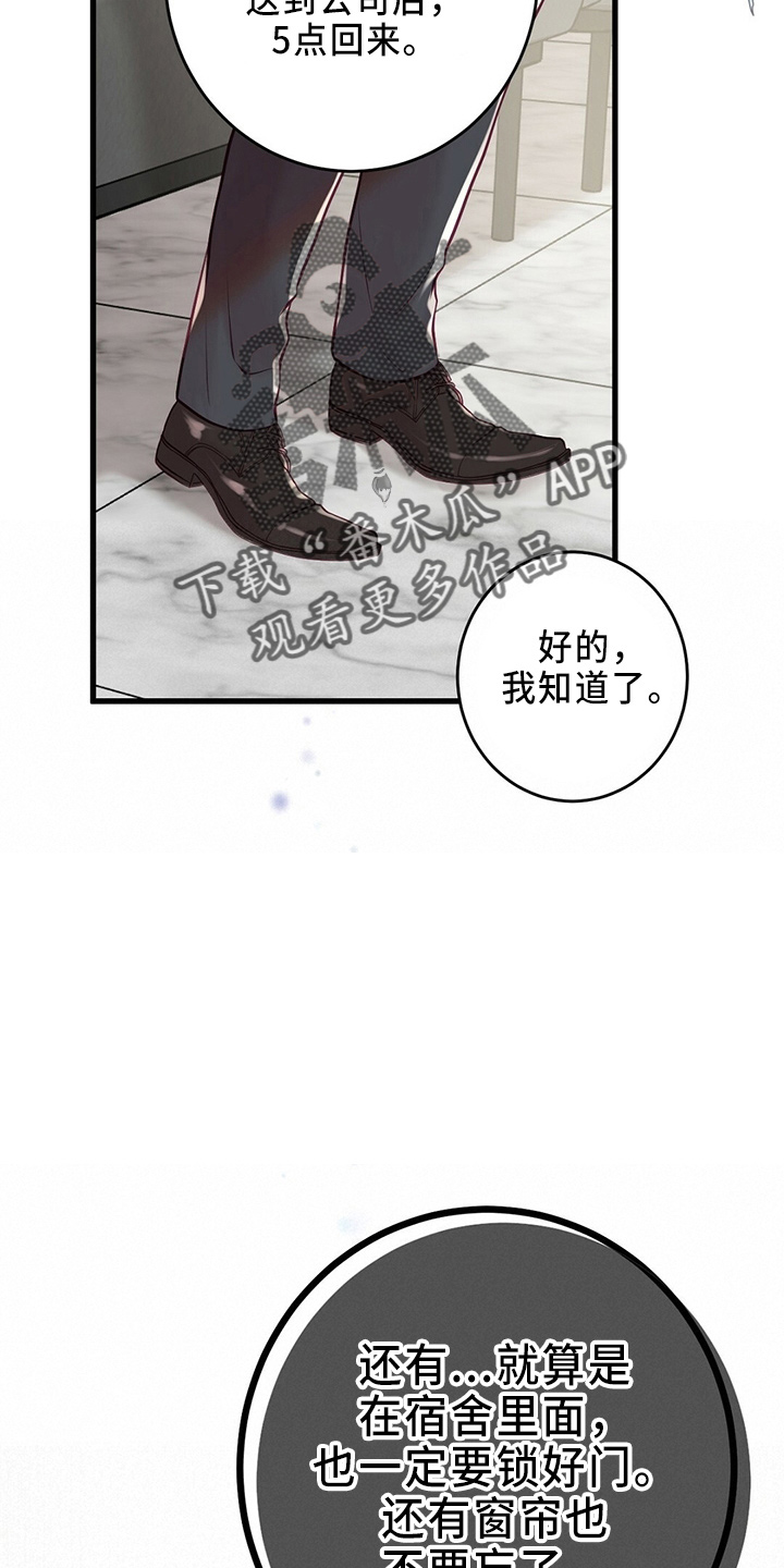 《爱豆新星》第46章被发现 第32页