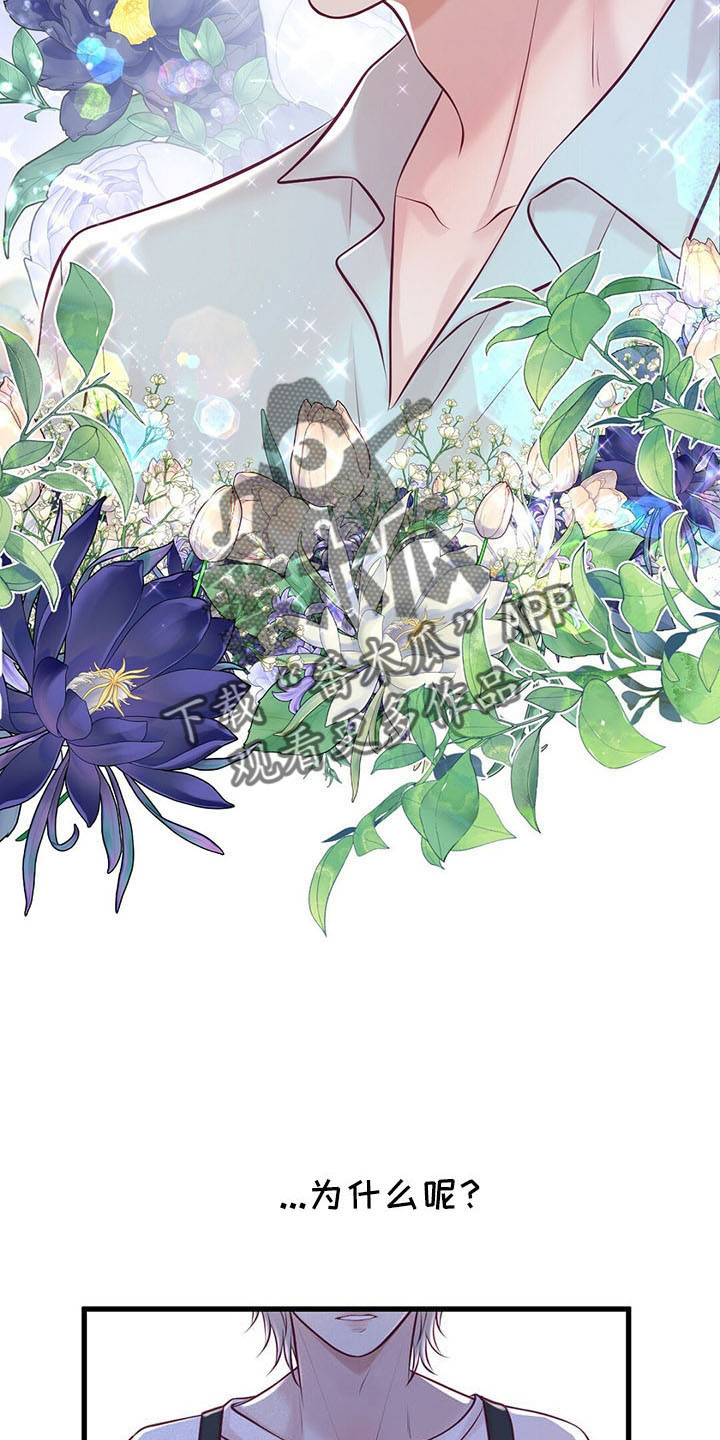 《爱豆新星》第48章假面少女 第14页