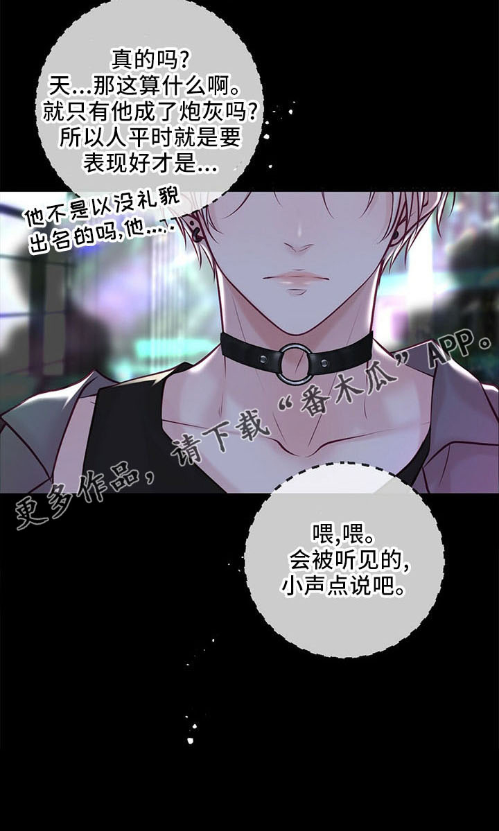《爱豆新星》第51章背叛 第36页