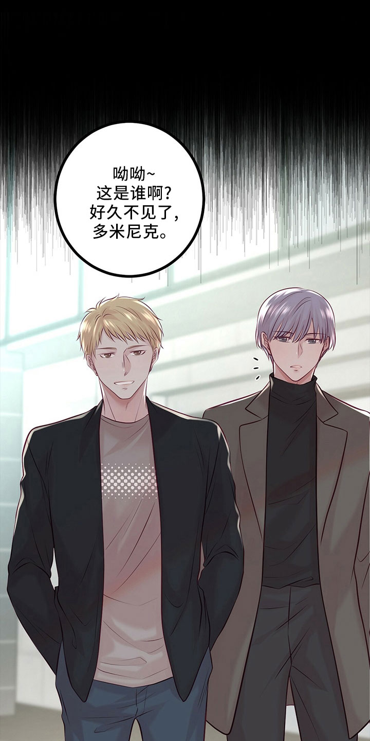 《爱豆新星》第52章冲突 第1页