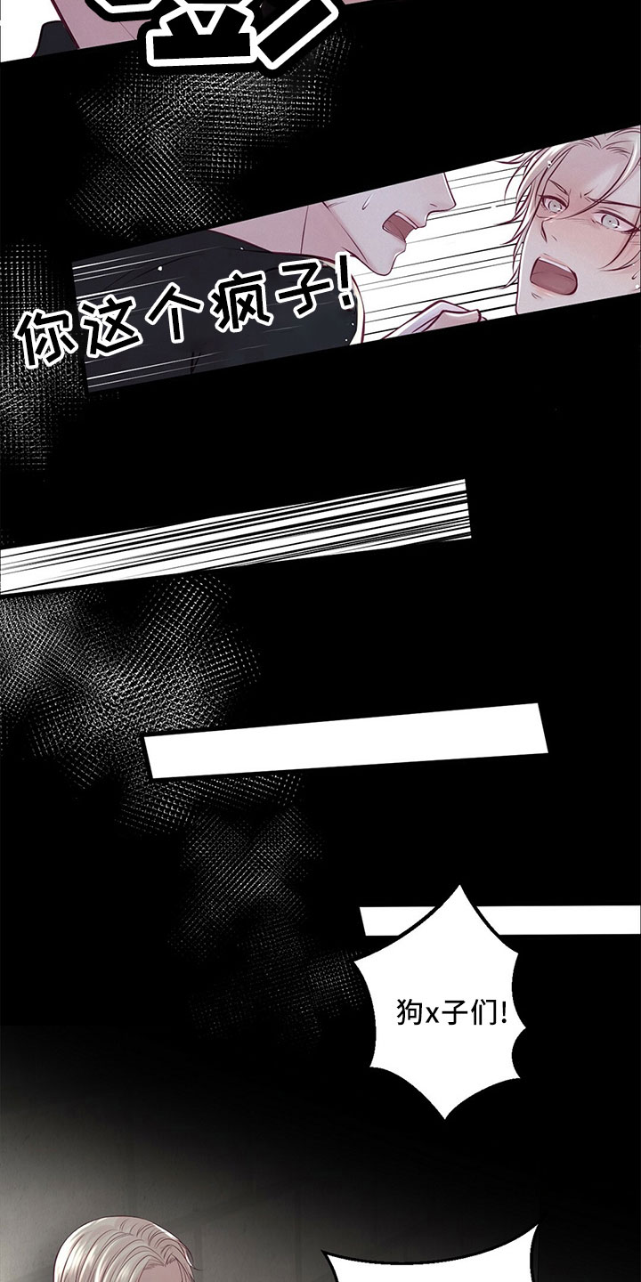 《爱豆新星》第52章冲突 第5页