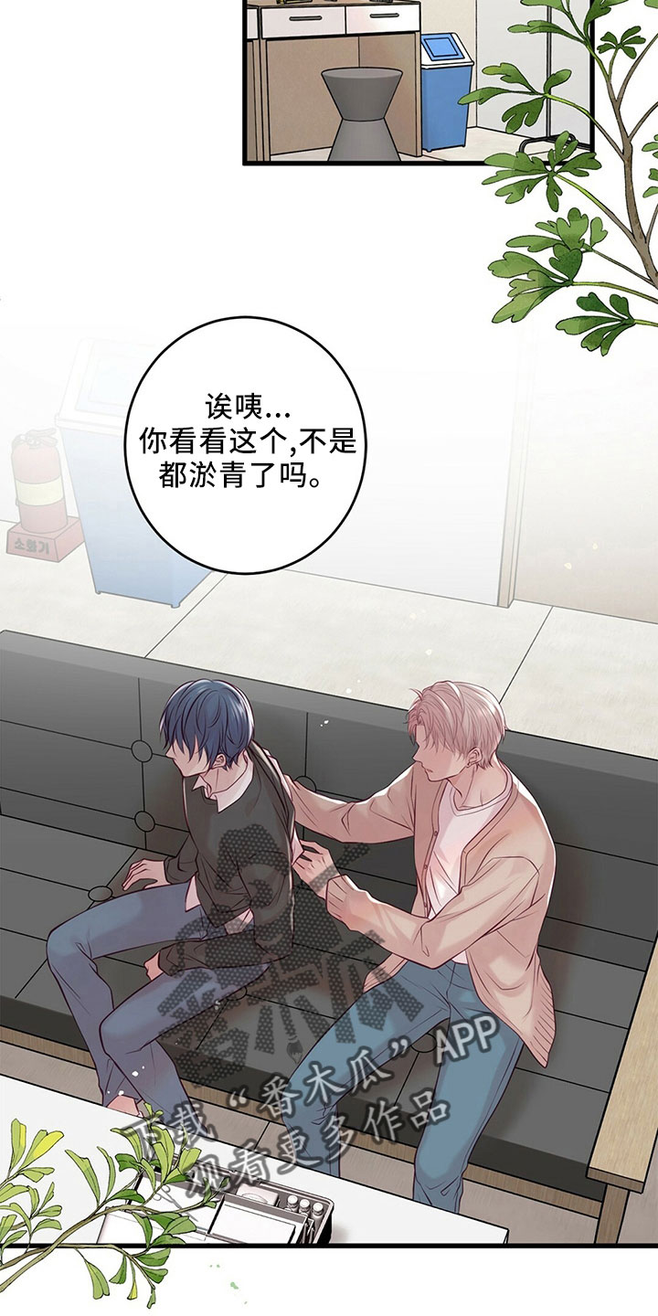 《爱豆新星》第53章受伤 第16页
