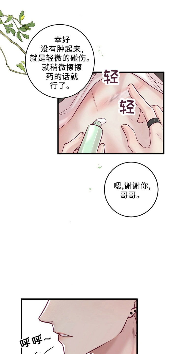《爱豆新星》第53章受伤 第17页