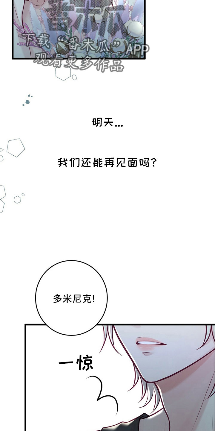 《爱豆新星》第54章傻子一样 第13页