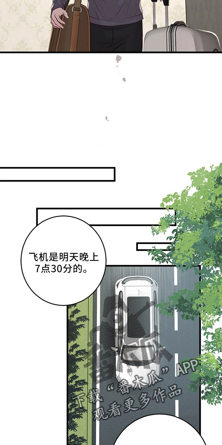 《爱豆新星》第54章傻子一样 第25页