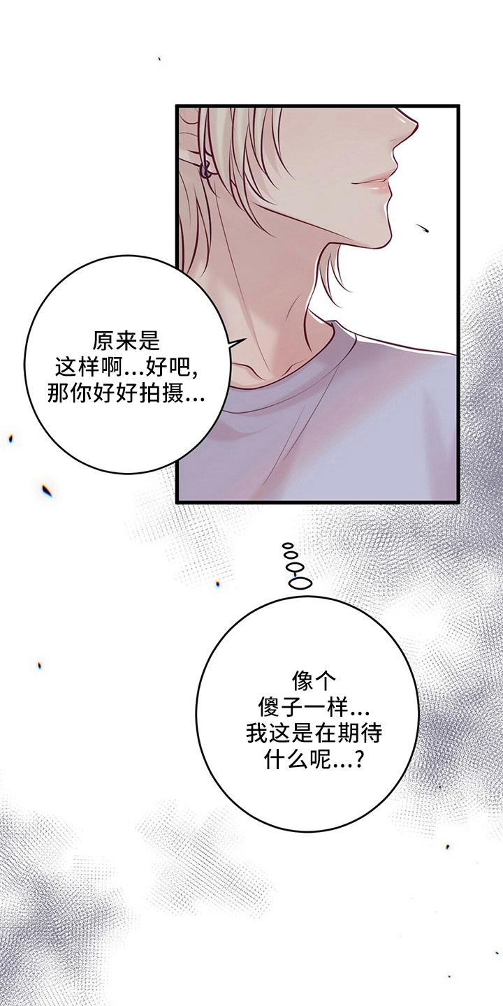 《爱豆新星》第54章傻子一样 第40页
