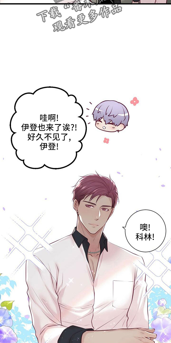 《爱豆新星》第57章准备开始 第7页