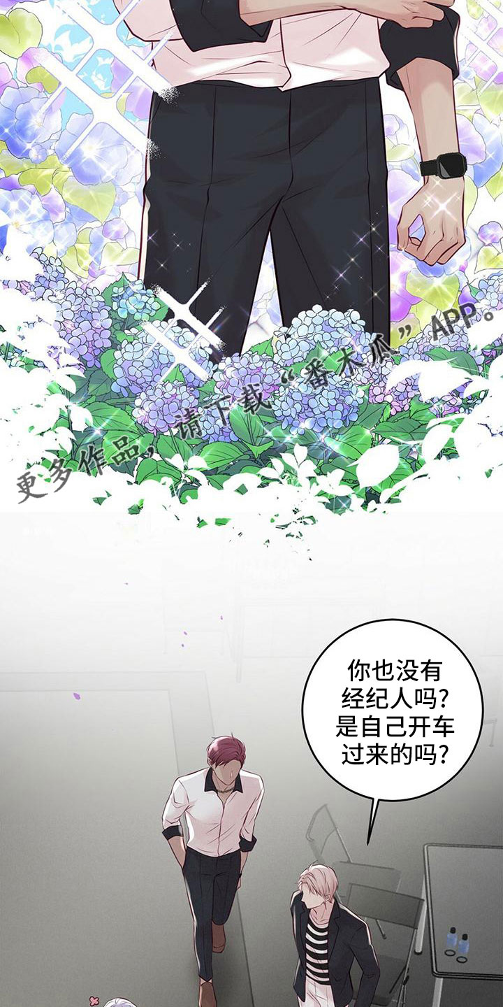 《爱豆新星》第57章准备开始 第8页