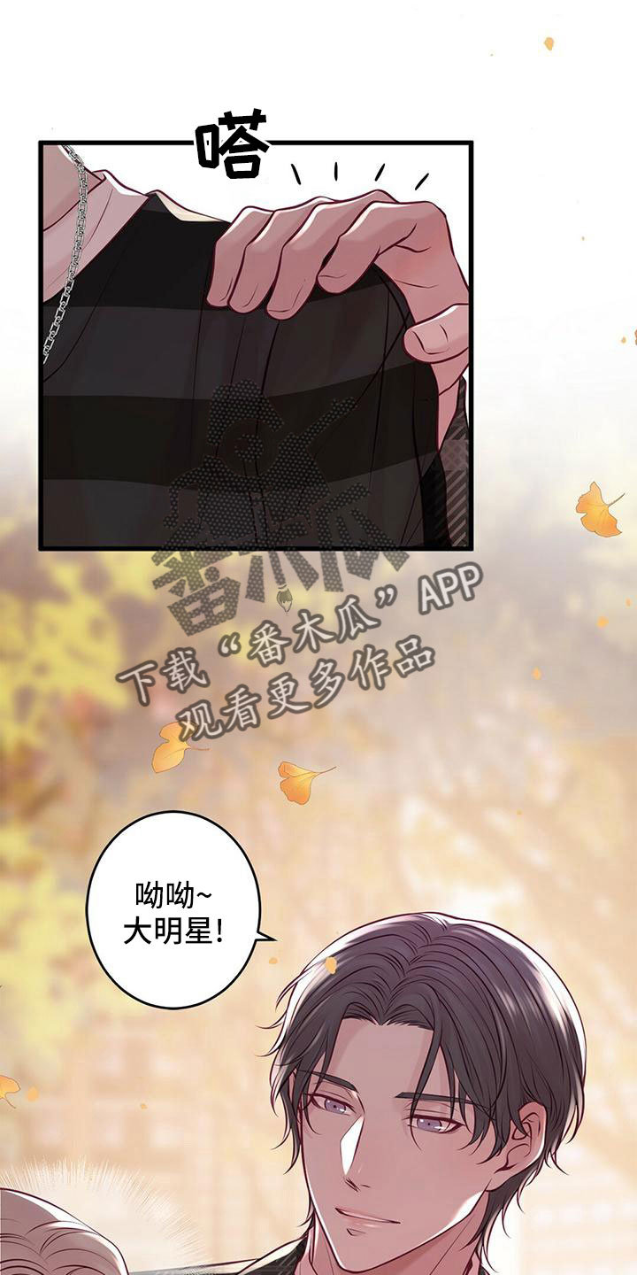 《爱豆新星》第58章一起吃饭 第19页