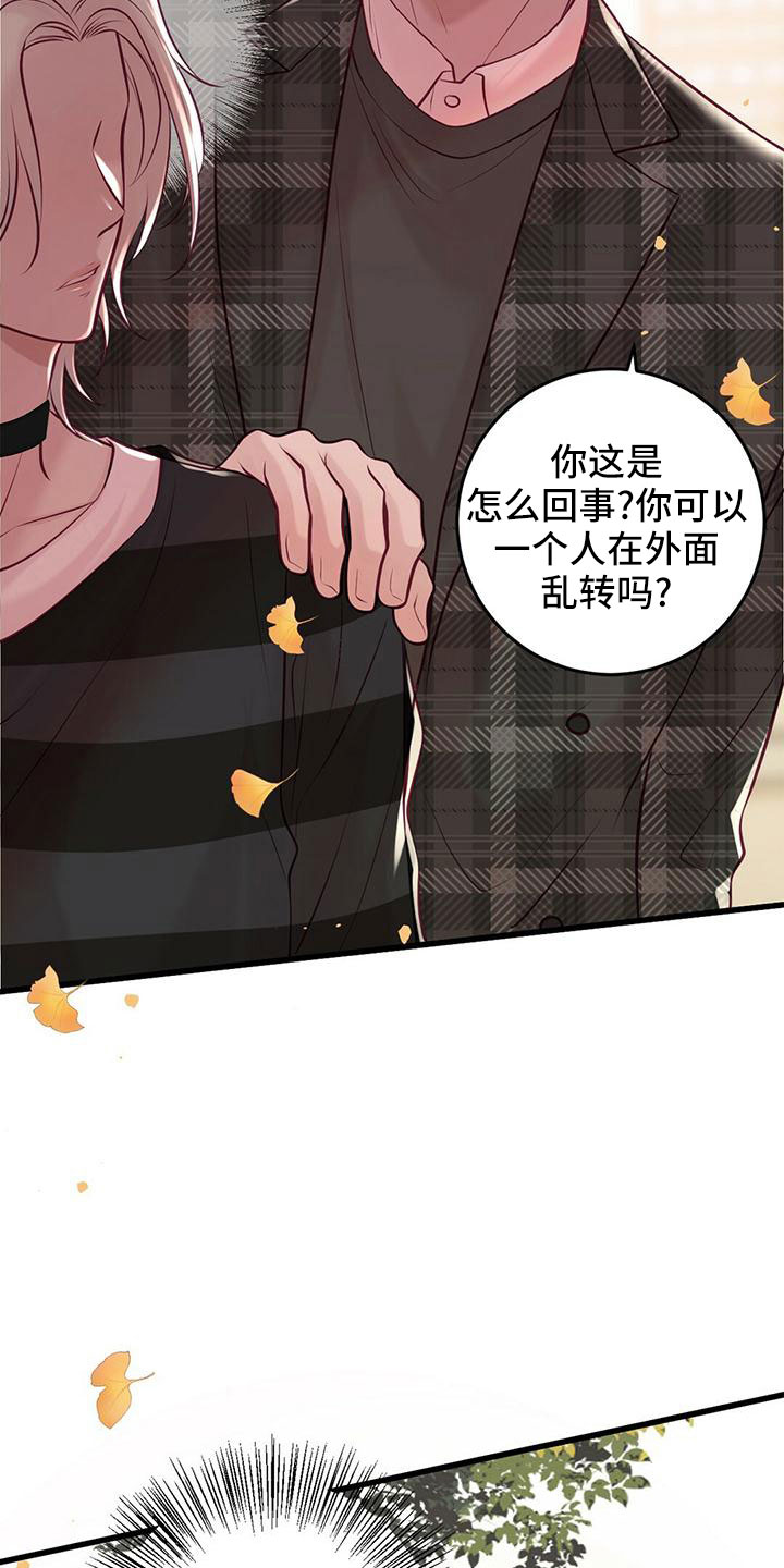 《爱豆新星》第58章一起吃饭 第20页