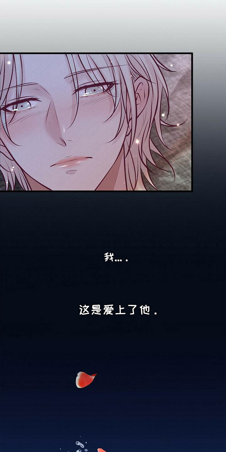 《爱豆新星》第61章不要见了 第18页