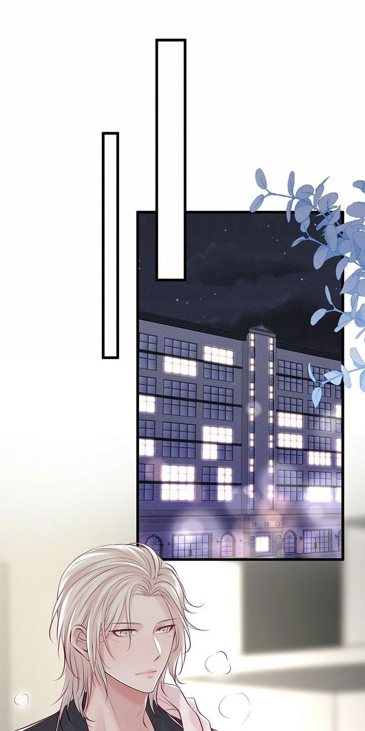 《爱豆新星》第61章不要见了 第6页