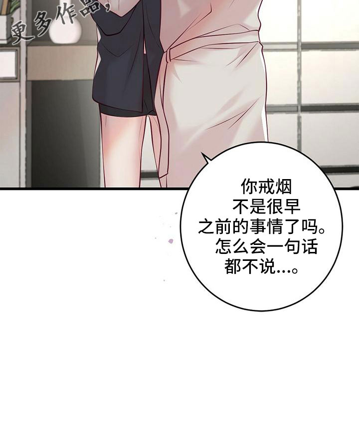 《爱豆新星》第62章“大演员” 第17页