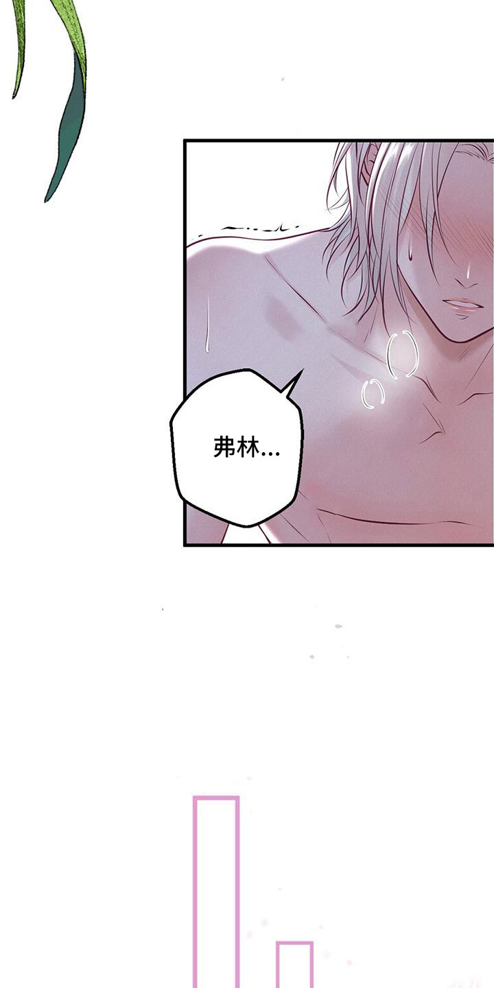 《爱豆新星》第63章采访 第2页