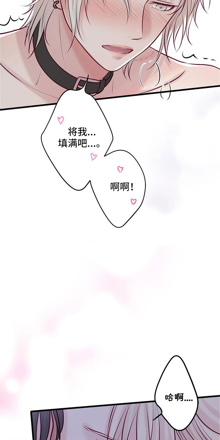 《爱豆新星》第65章下次你穿 第16页