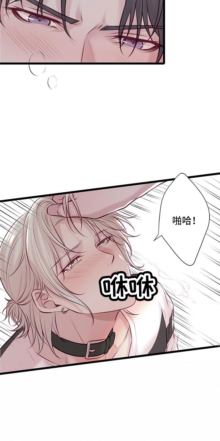 《爱豆新星》第65章下次你穿 第5页
