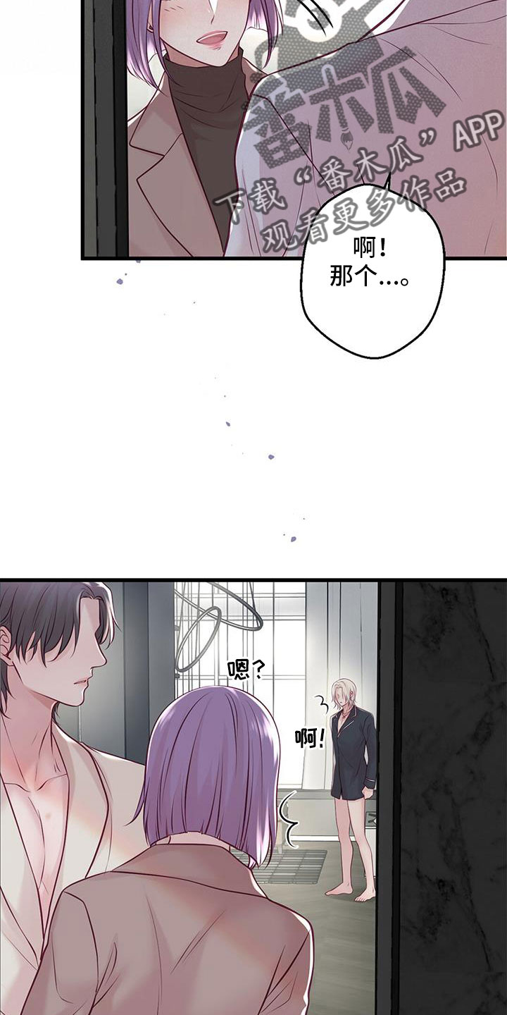 《爱豆新星》第66章表姐 第18页