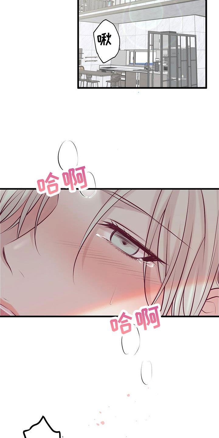 《爱豆新星》第69章结婚吧 第7页