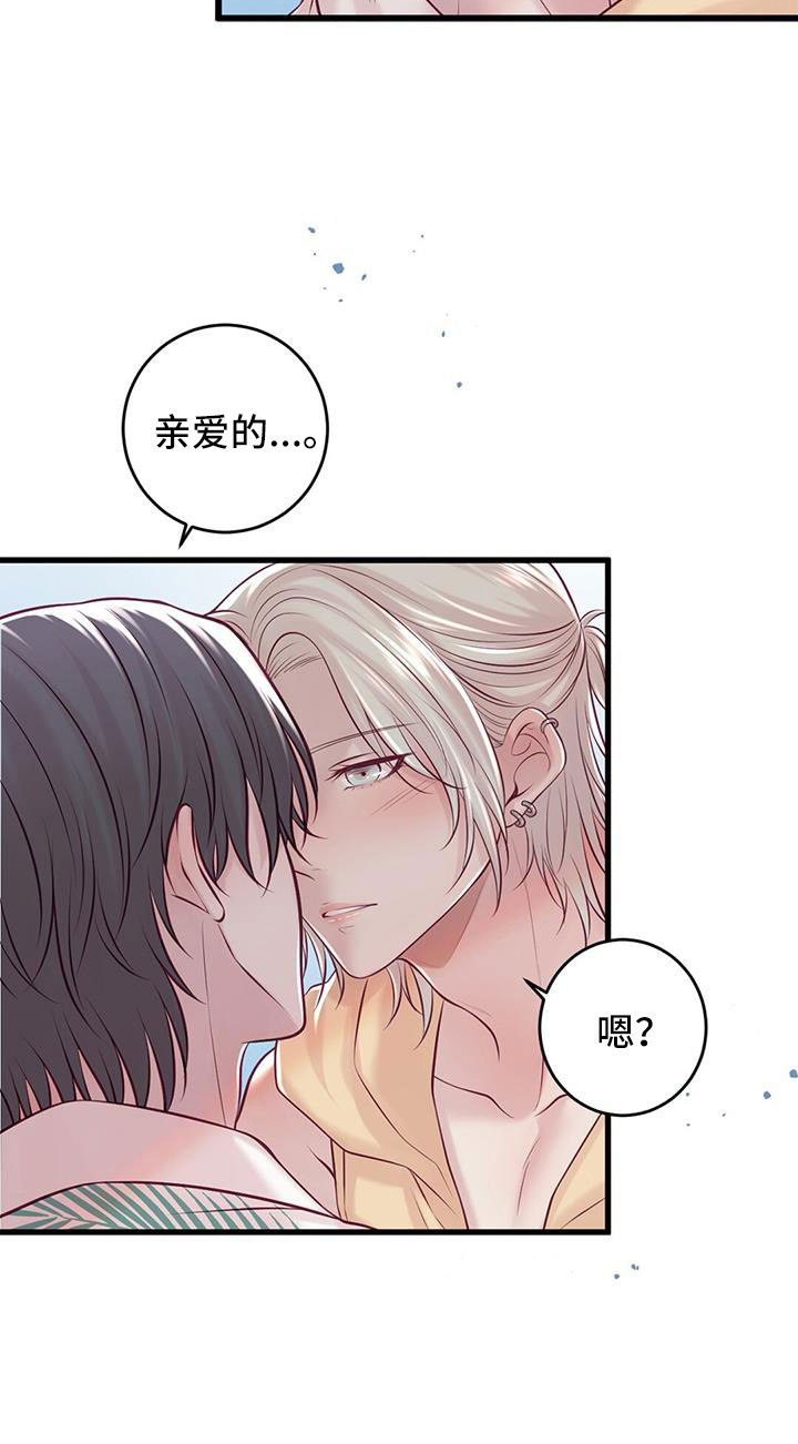 《爱豆新星》第68章新婚旅行 第14页