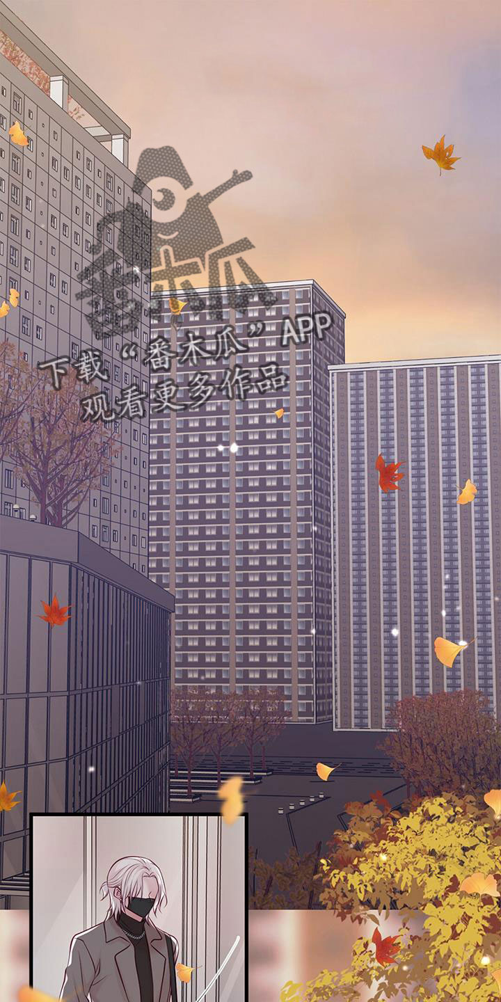 《爱豆新星》第68章新婚旅行 第1页