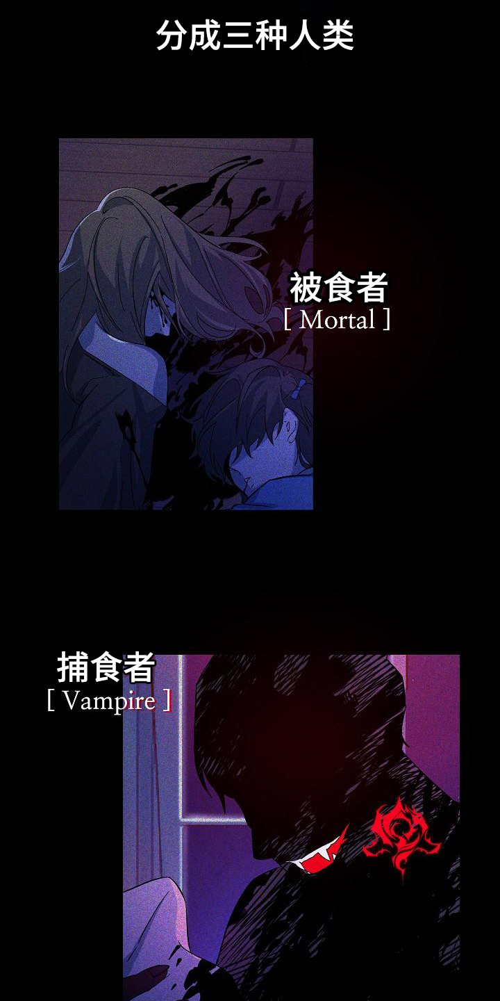 《永夜无眠》第1章猎人 第3页