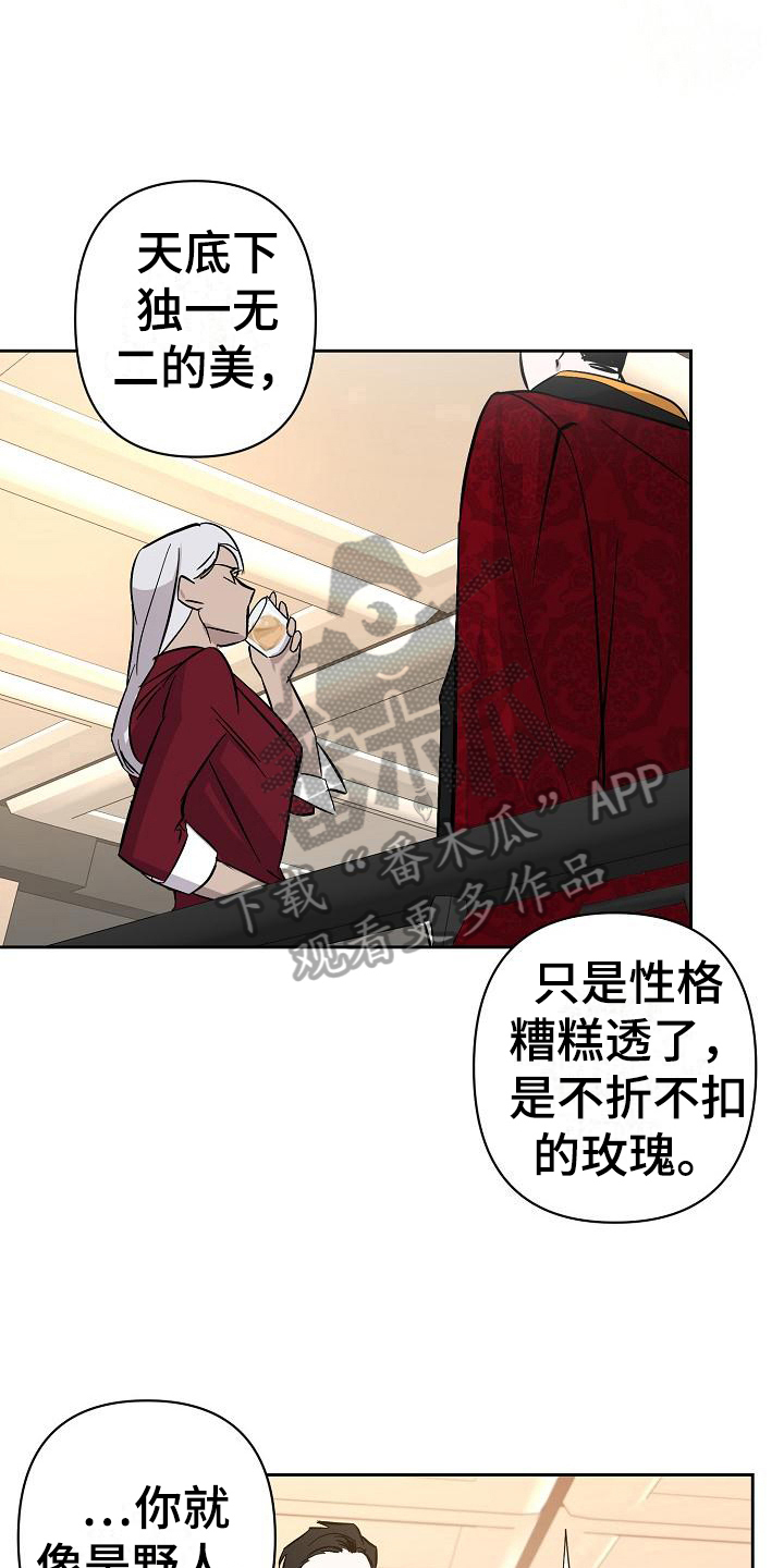 《永夜无眠》第20章玫瑰 第11页