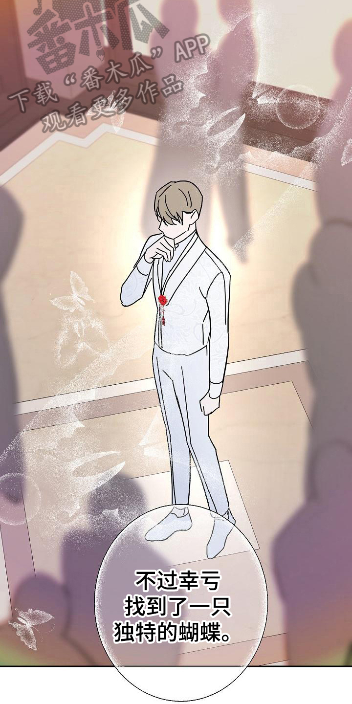 《永夜无眠》第20章玫瑰 第14页