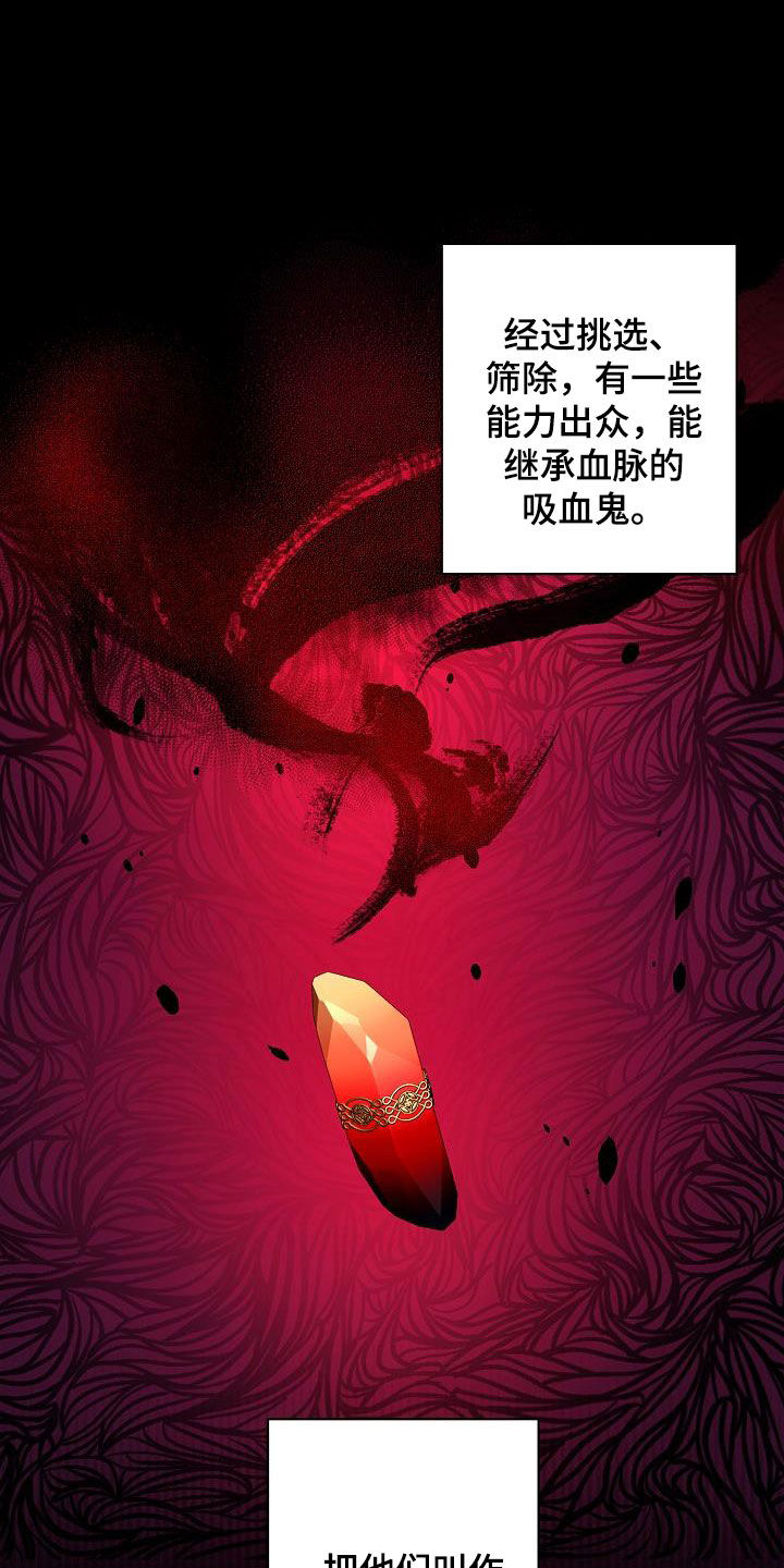 《永夜无眠》第38章出现问题了 第9页
