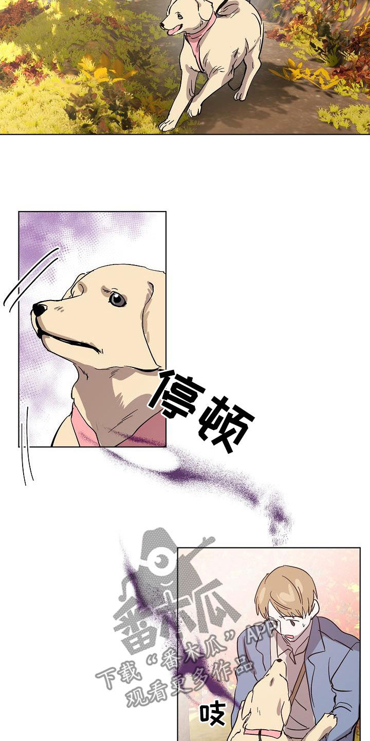 《永夜无眠》第40章大胆 第9页