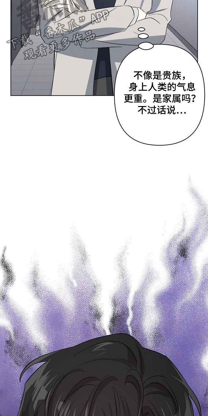 《永夜无眠》第45章调查 第7页