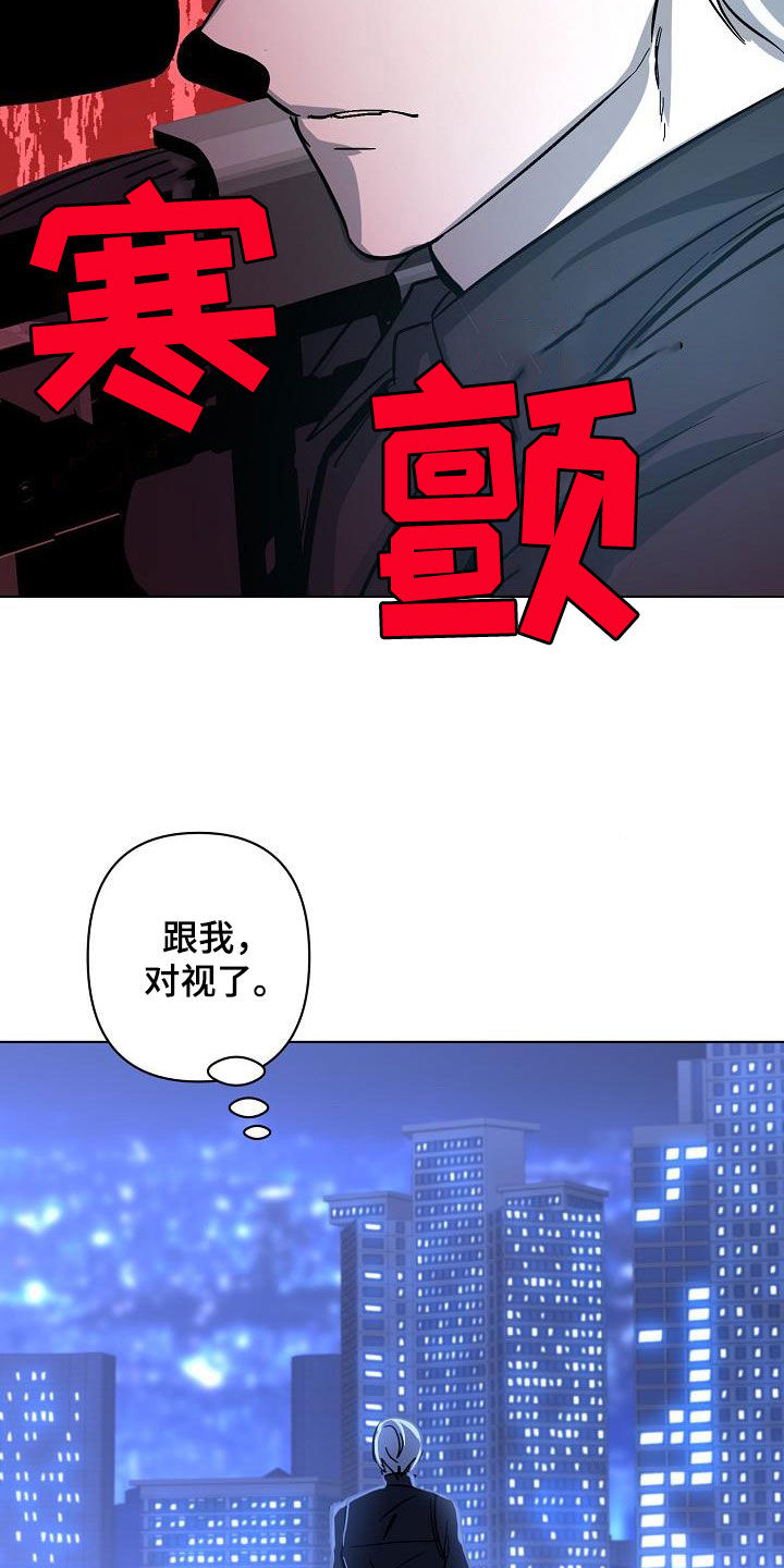 《永夜无眠》第43章击杀 第14页