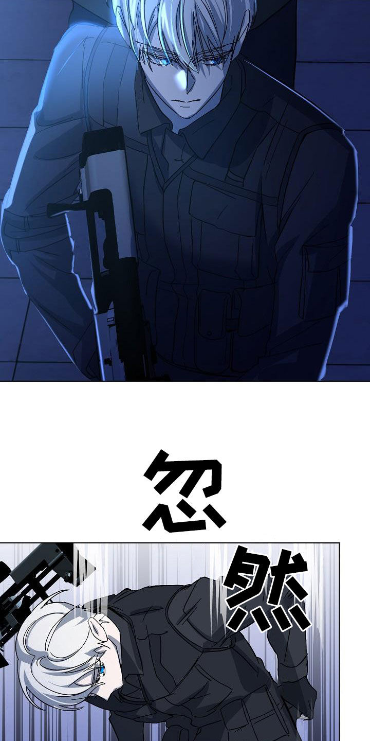 《永夜无眠》第43章击杀 第17页