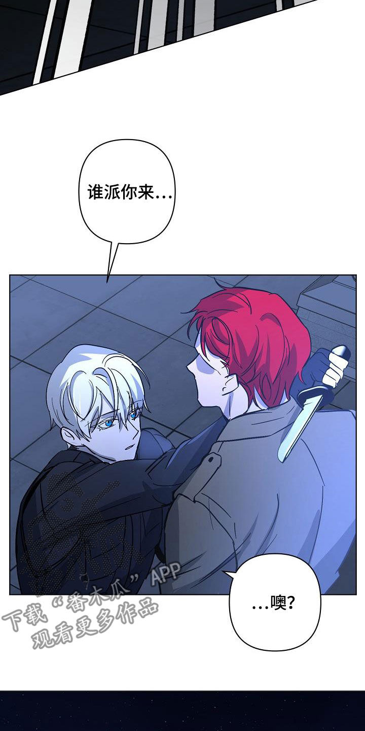 《永夜无眠》第43章击杀 第20页