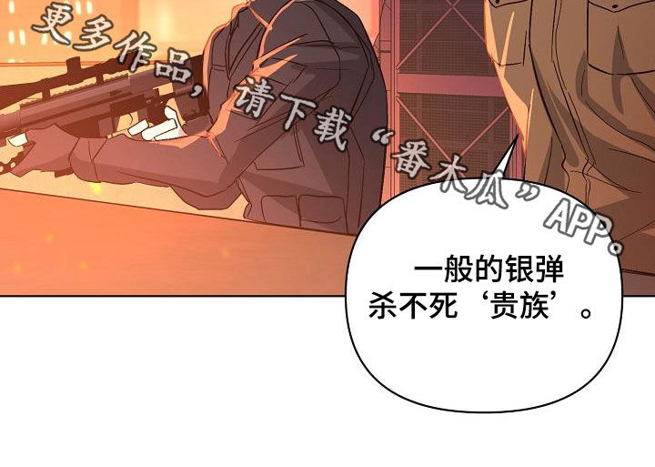 《永夜无眠》第43章击杀 第25页