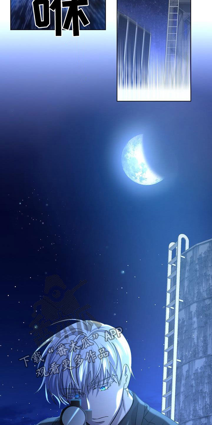 《永夜无眠》第43章击杀 第8页