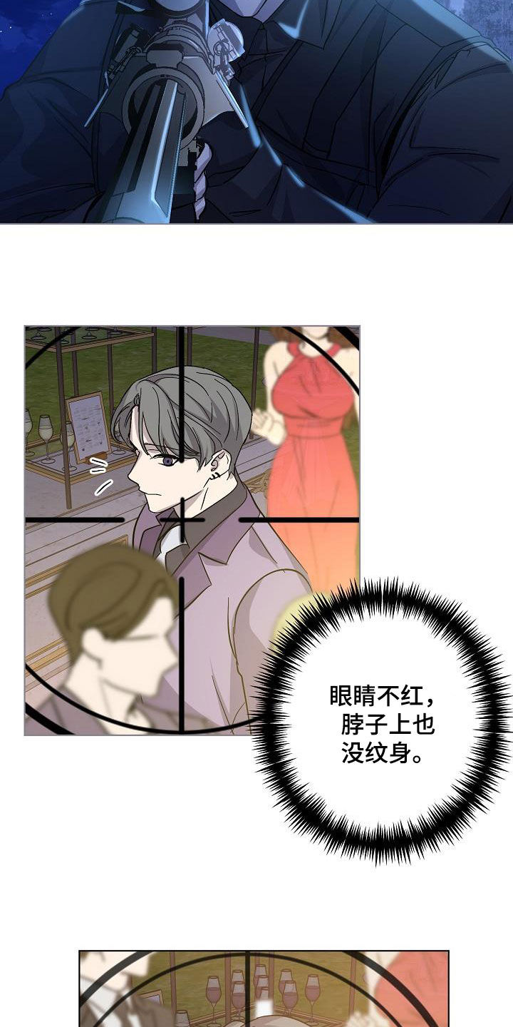 《永夜无眠》第43章击杀 第9页