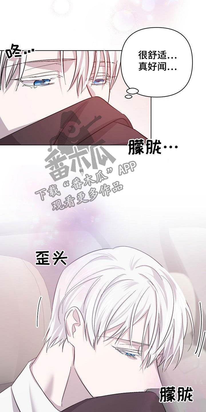 《永夜无眠》第53章我在车里等你 第24页
