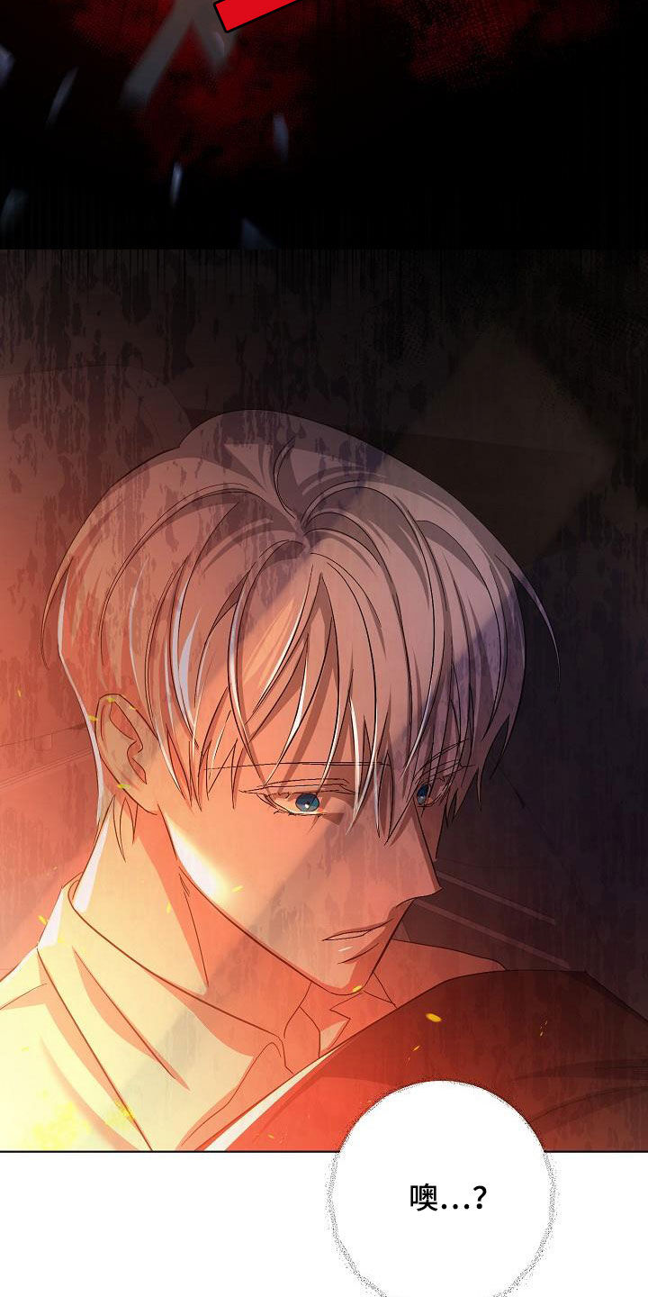《永夜无眠》第53章我在车里等你 第27页