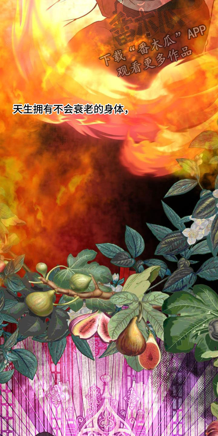 《永夜无眠》第62章【第二季】永生不死 第23页