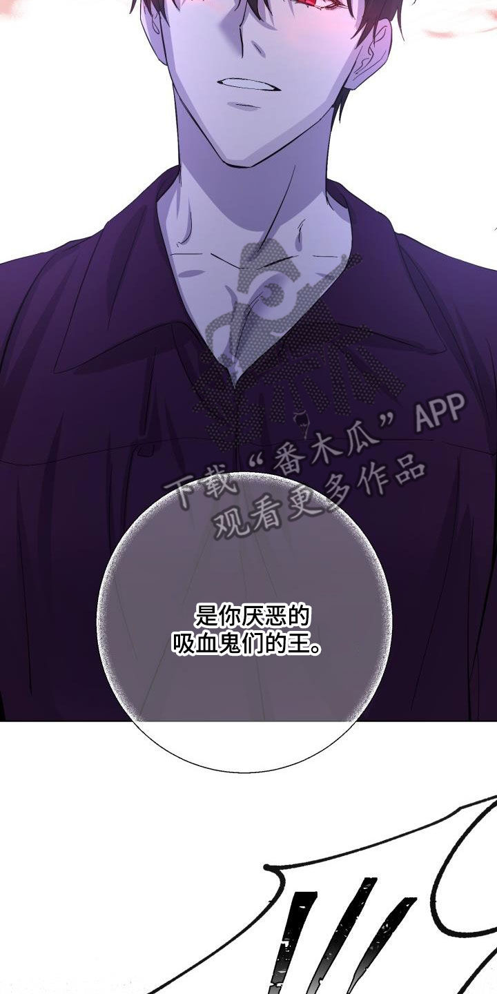 《永夜无眠》第71章【第二季】原谅一次 第10页