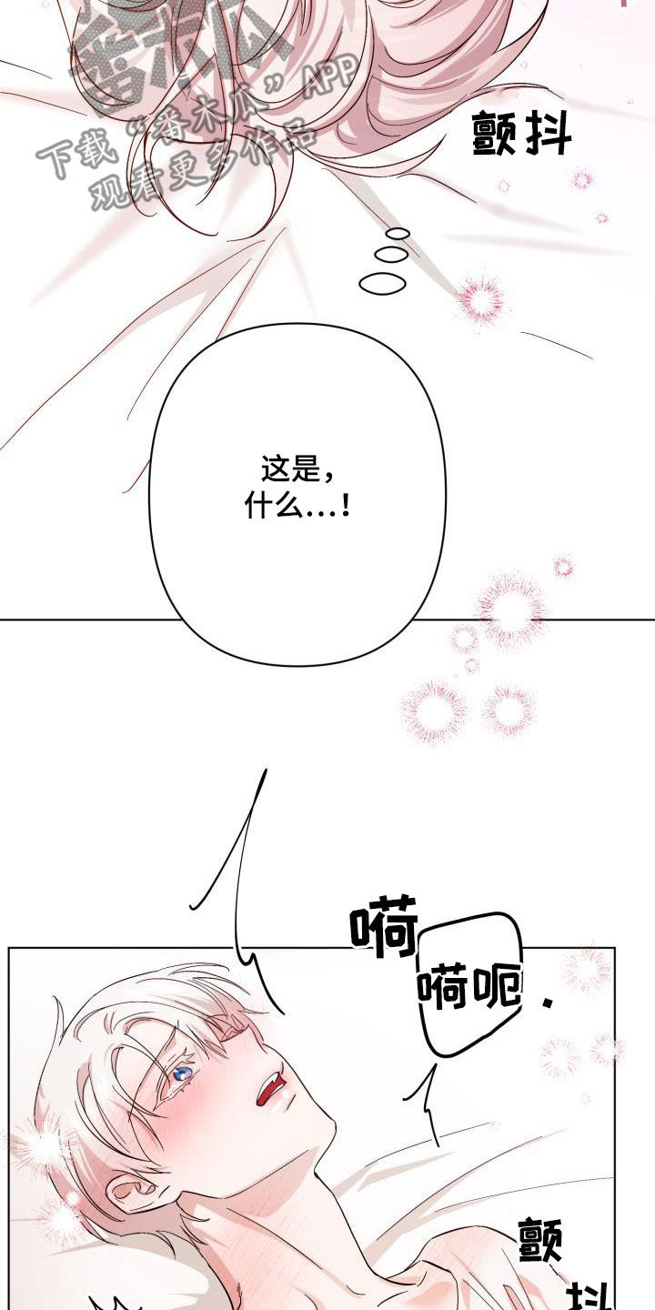 《永夜无眠》第74章【第二季】疤痕 第3页