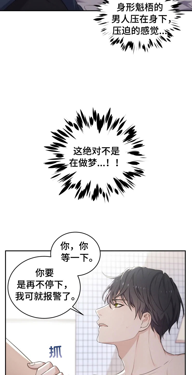 《梦中游龙》第3章强力反击 第4页