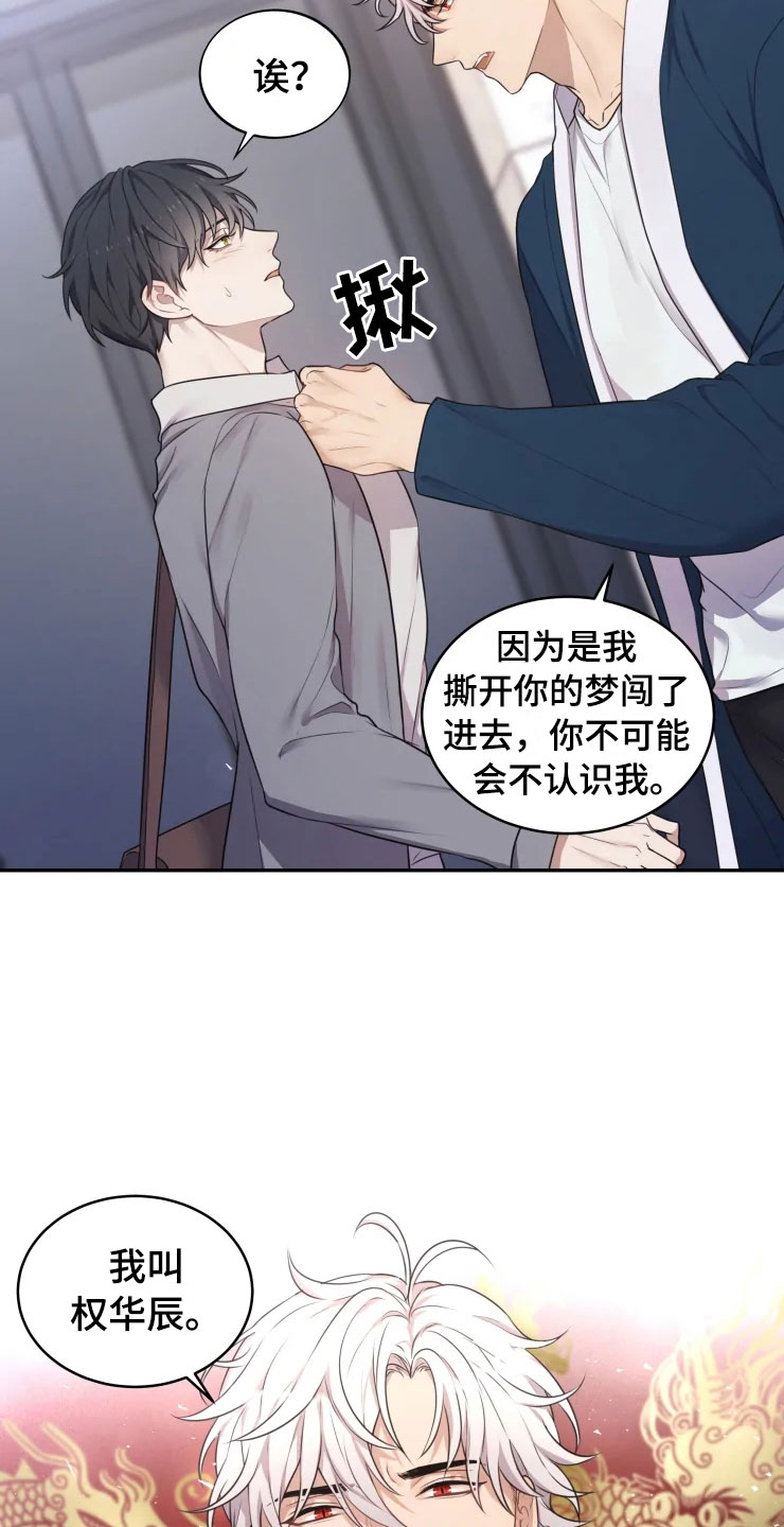 《梦中游龙》第2章梦中的男人 第19页