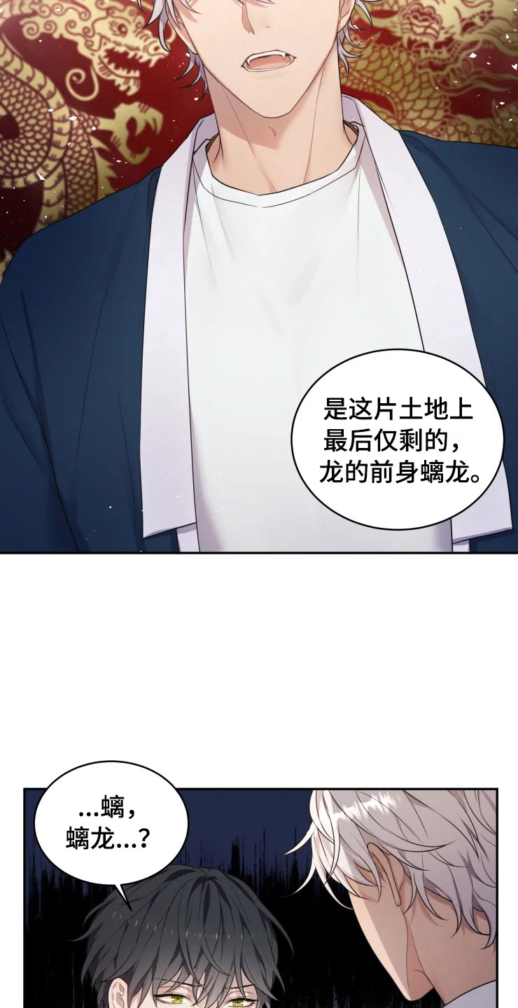 《梦中游龙》第2章梦中的男人 第20页