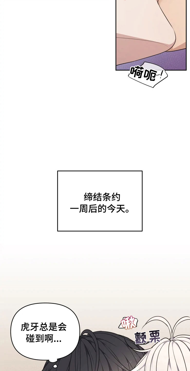 《梦中游龙》第11章三个条件 第8页